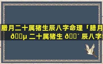 腊月二十属猪生辰八字命理「腊月 🐵 二十属猪生 🌴 辰八字命理是什么」